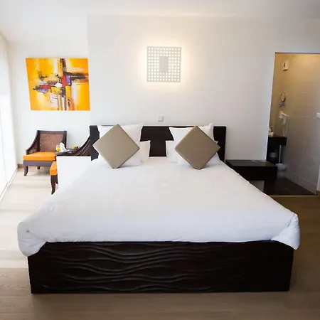 Le Pier - Ortus 圖盧茲