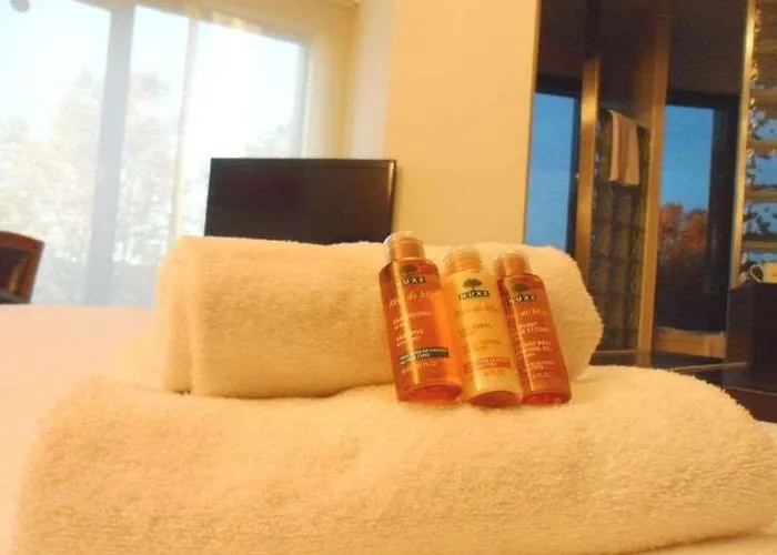 Apartmán Le Pier - Ortus Toulouse