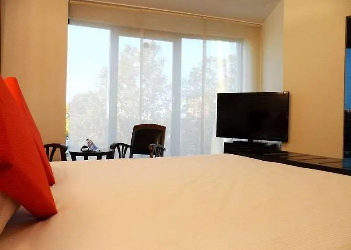 Le Pier - Ortus Toulouse