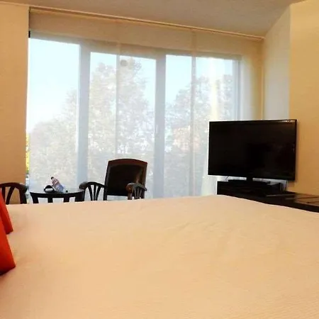 Le Pier - Ortus Toulouse